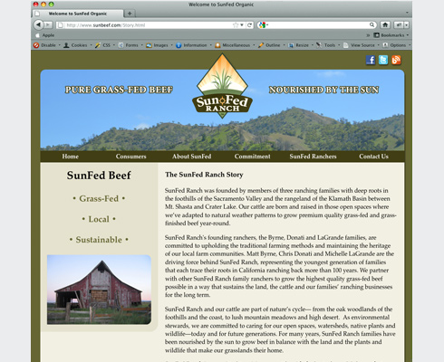 Complete website creation